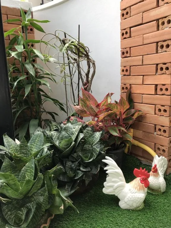 Villa Thai Orchid — photo 14